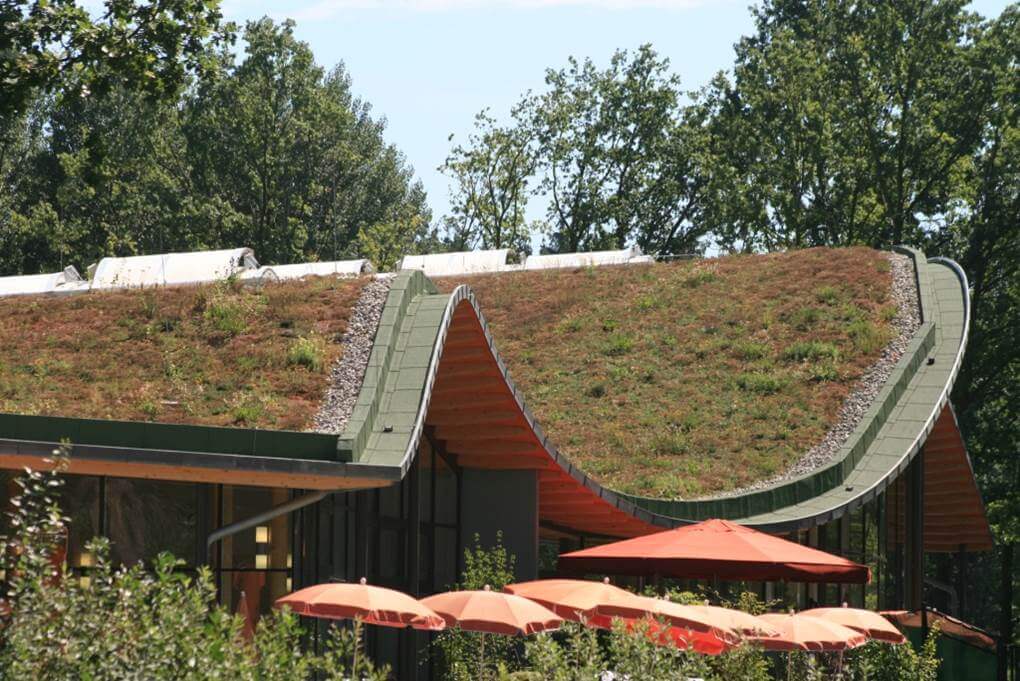 Zelené strechy – nielen estetické ale aj funkčné LAMINA Prešov